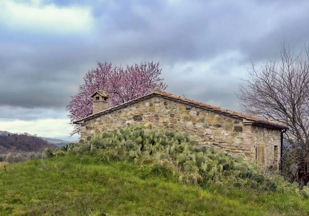 Agriturismo Le Canterie Radicondoli Italy