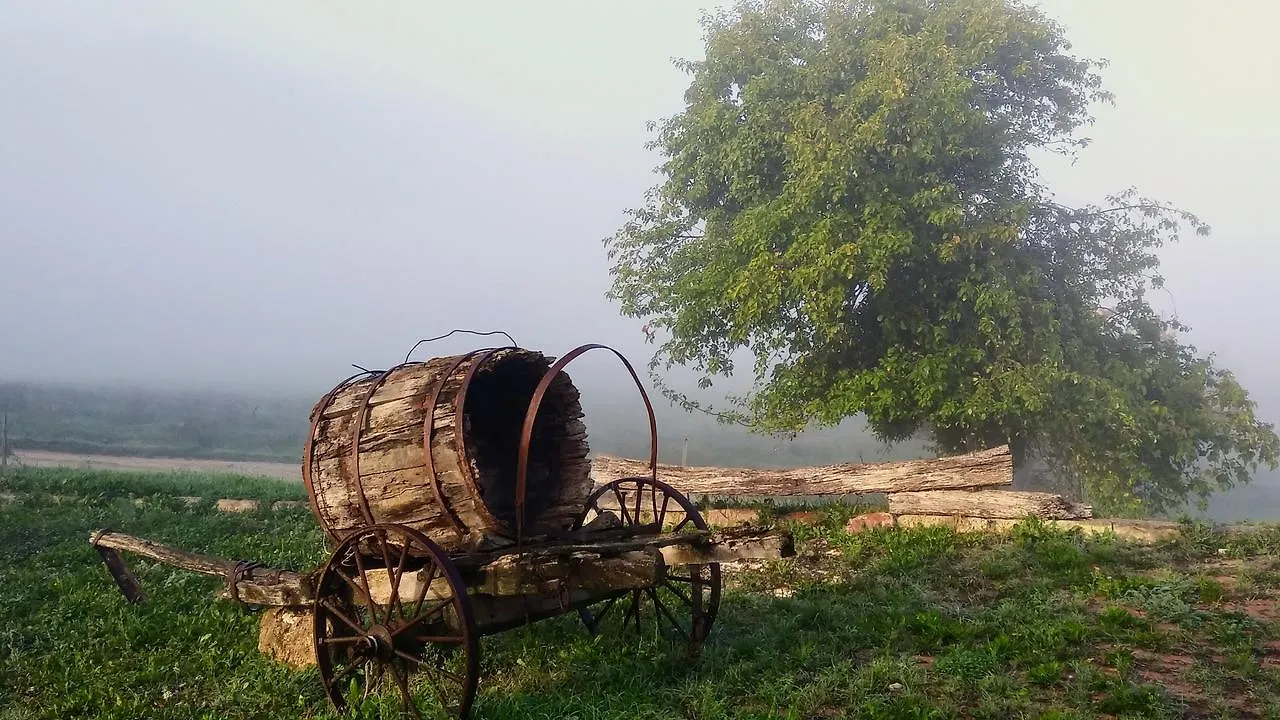 Agriturismo Le Canterie Radicondoli 0*,